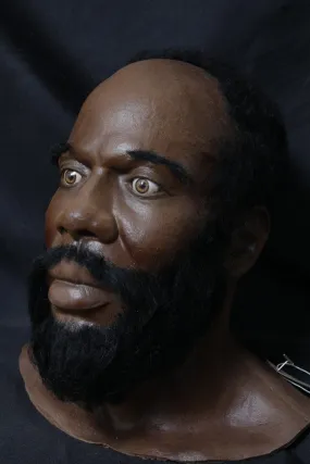 Bearded Richard Head