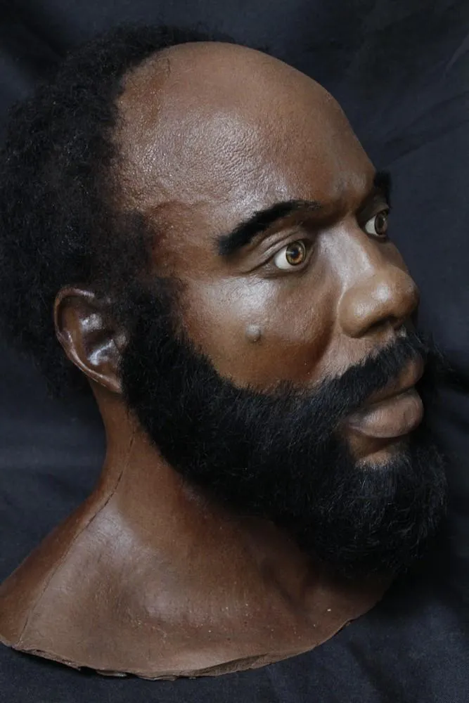 Bearded Richard Head