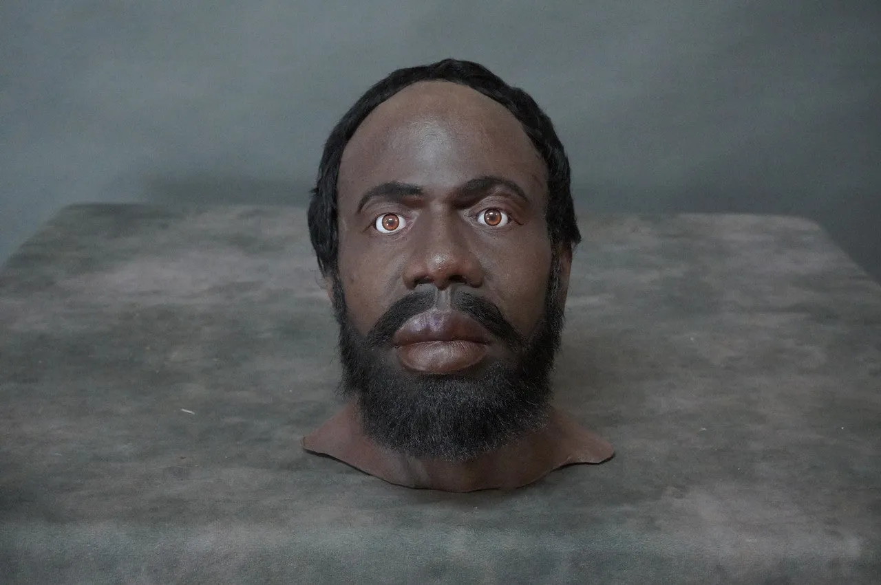 Bearded Richard Head