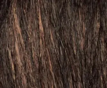 Coco wig - Natural Collection