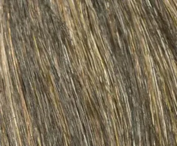 Coco wig - Natural Collection
