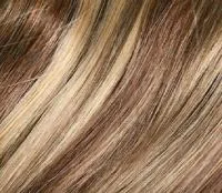 Delfine Mono Lace Large wig - Gisela Mayer