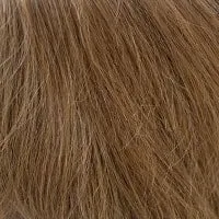 Findley wig - Amore Rene of Paris