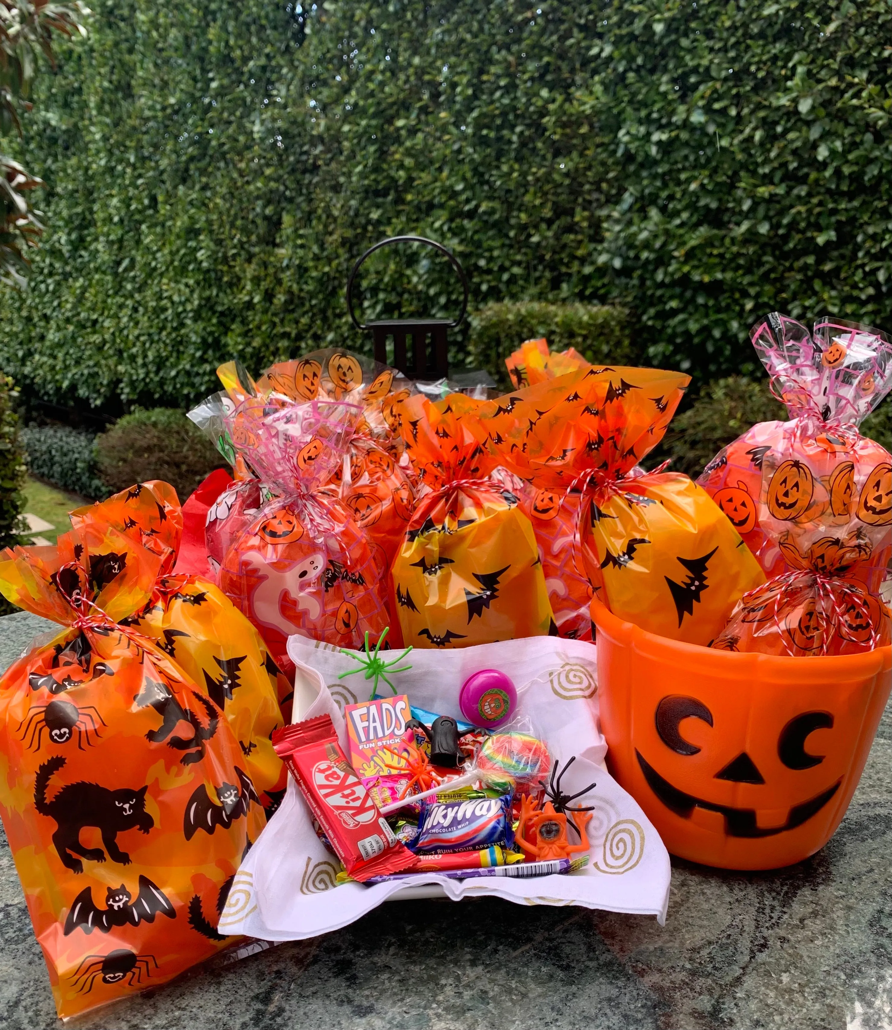 Halloween Trick & Treat Bag