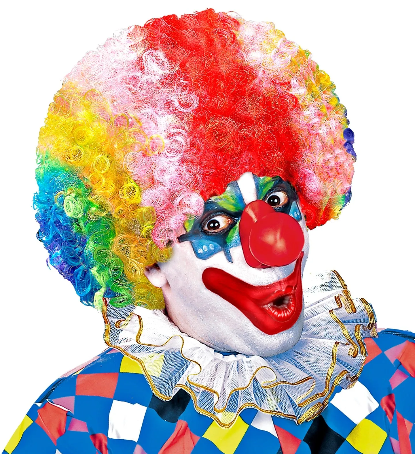Multicoloured Curly Clown Wig