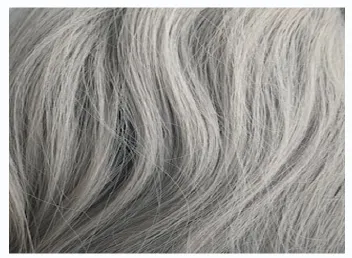 O-ZONE LACE FRONT WIG - OZONE 017