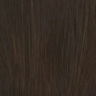 On The Cover wig - Raquel Welch Collection