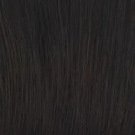 On The Cover wig - Raquel Welch Collection