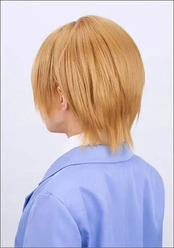 "Kimi to Boku. (You and Me.)" Yuuki Asaba style cosplay wig