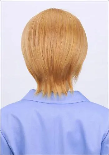 "Kimi to Boku. (You and Me.)" Yuuki Asaba style cosplay wig