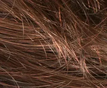 Stop Hi Tec wig - Ellen Wille Hairpower Collection