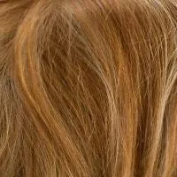 Tova wig - Amore Rene of Paris